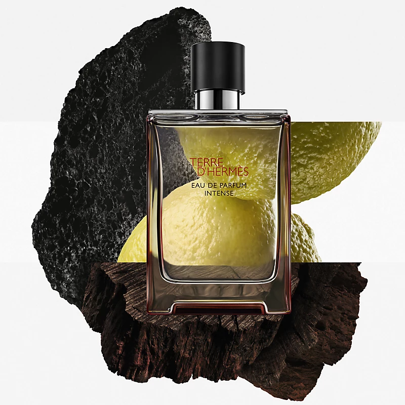 Hermès Terre d'Hermès Intense Eau de Parfum 100ml